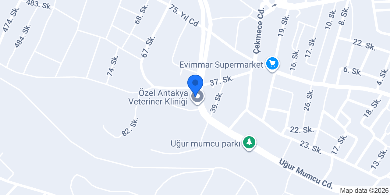 FİZYOME-GA konumu