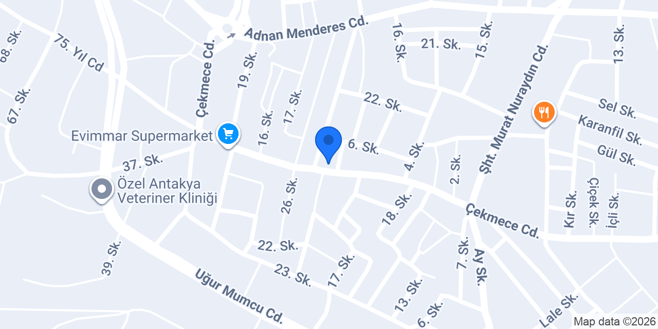 Ada Tobacco Escom konumu