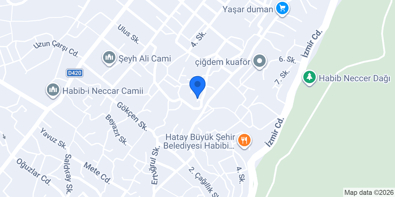 Avukat Ayfer Özcan konumu