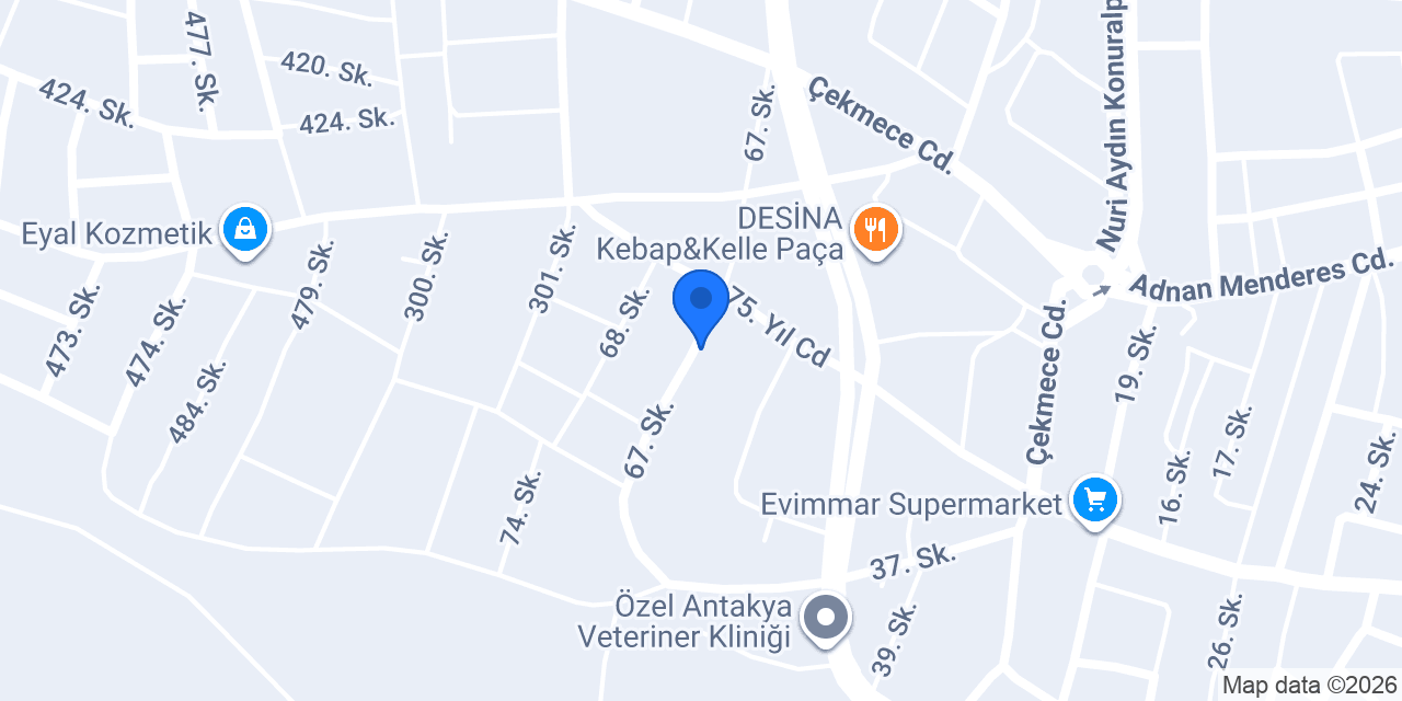 FİZYOTERAPİST ECENUR YÜCESOY KÜÇÜK konumu