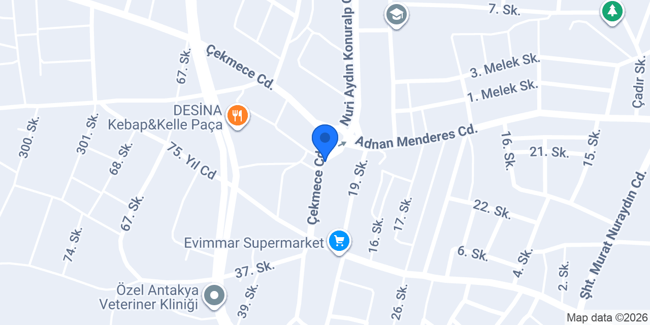 Şok konumu