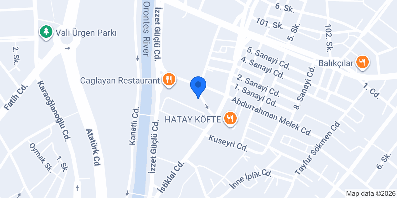 NGLS YABANCI DİL DÜNYASI ANTAKYA konumu