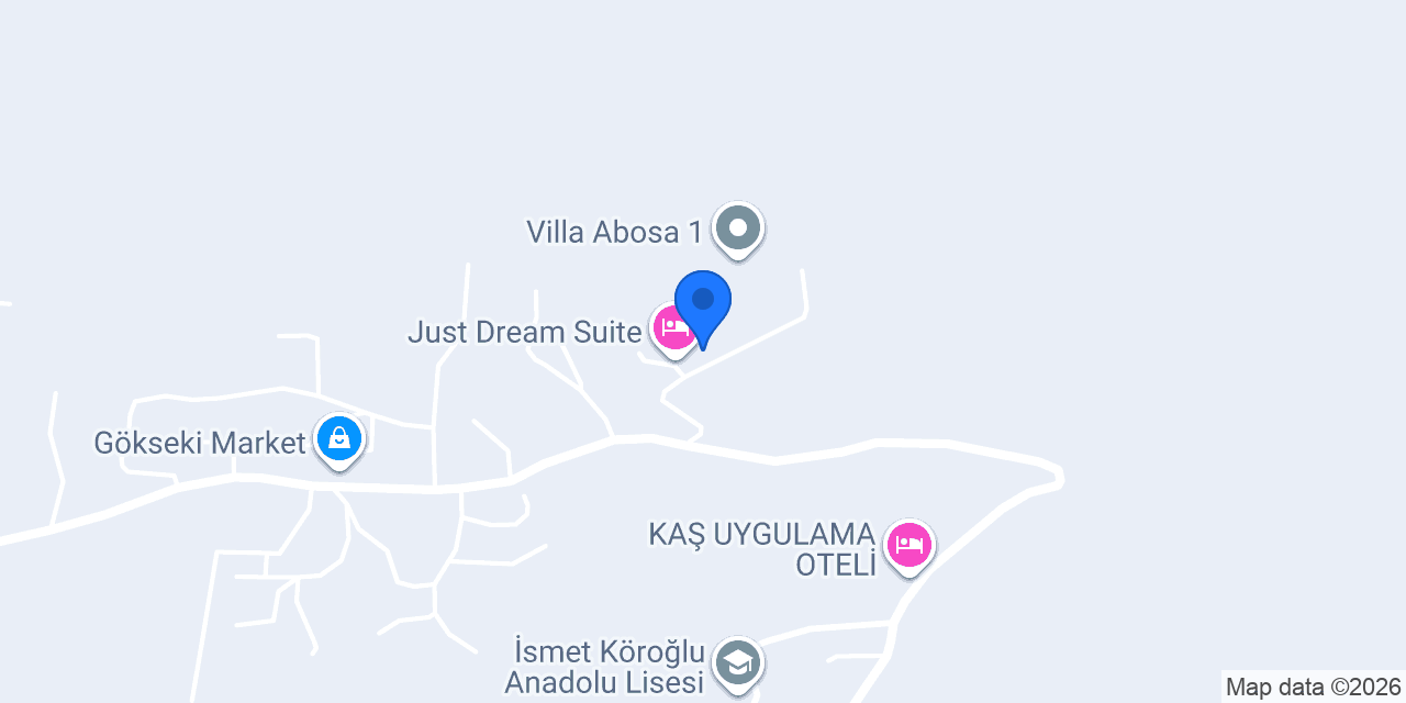 Vize Bridge konumu