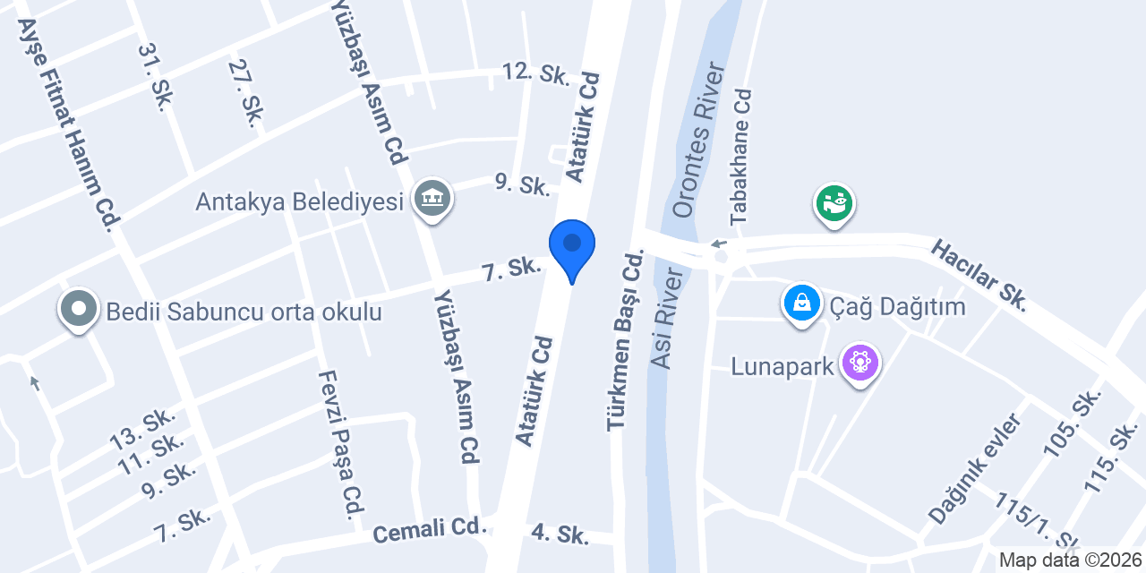 ses rent a car konumu