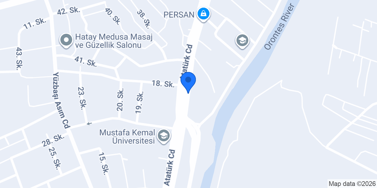 Vizyon Danışmanlık konumu