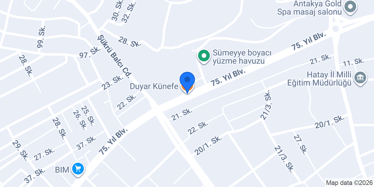 كيوي_Kivi konumu