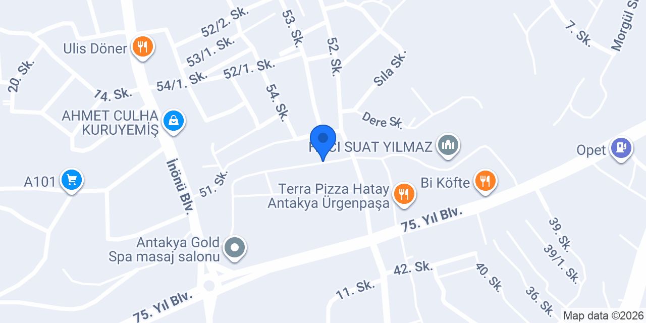 ALTINEVLER HALI SAHA konumu