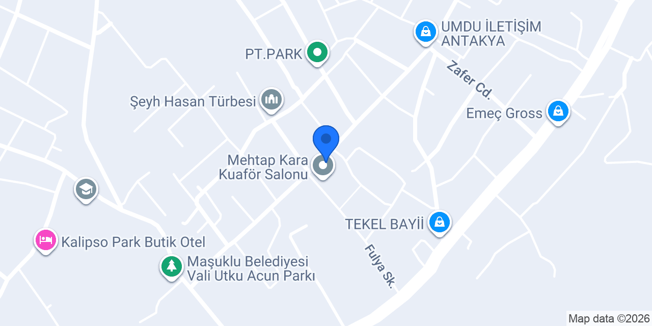 Asel Teknik konumu
