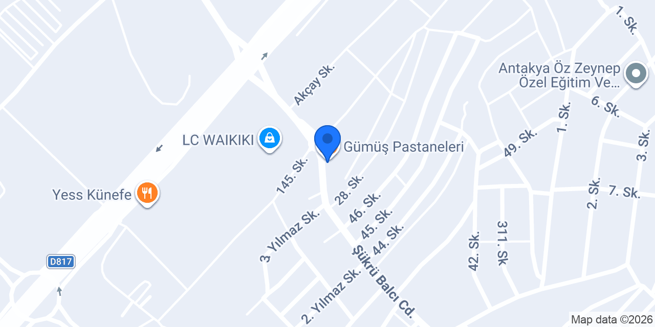 Doberman sahiplendirme Hatay konumu