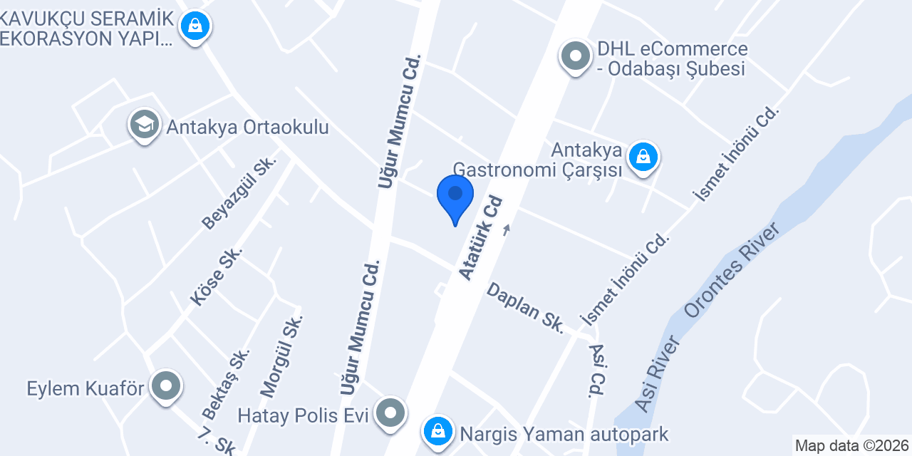 insist İç ve Dış Ticaret LTD. ŞTİ. konumu