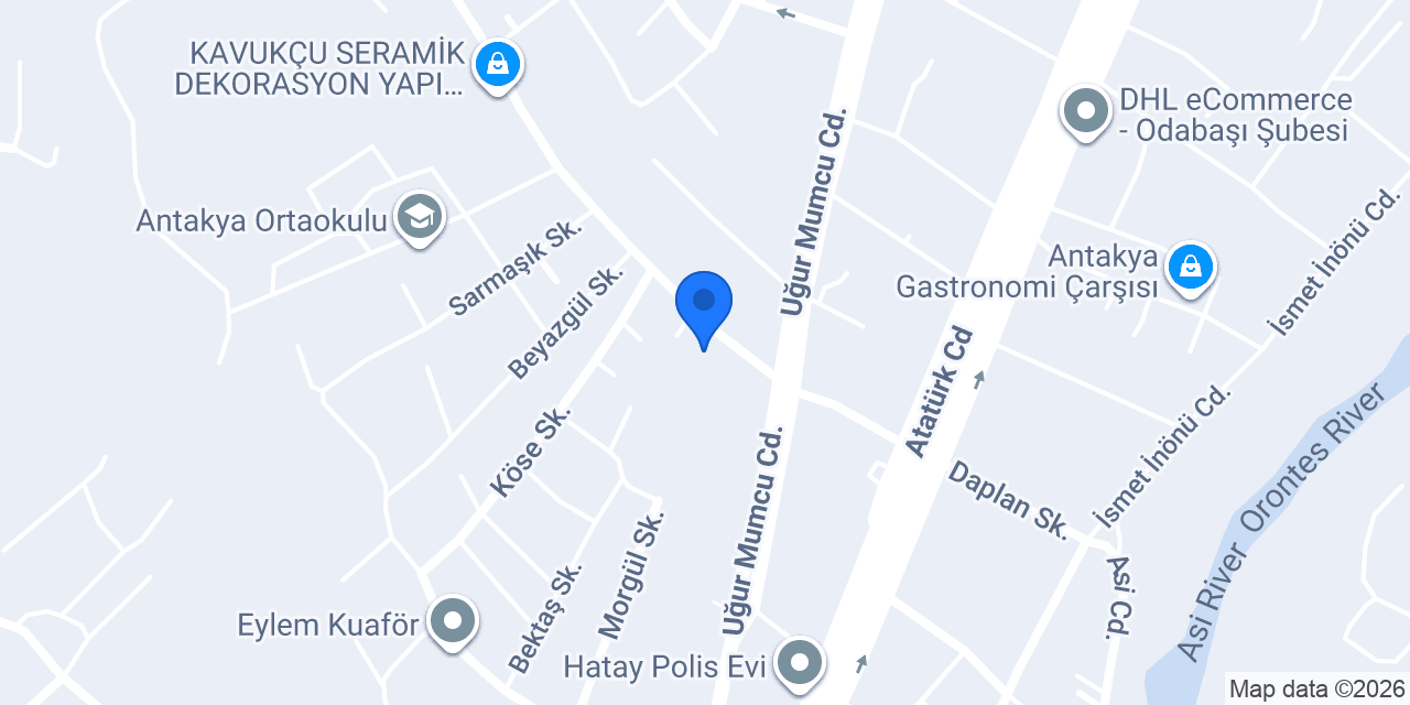 cem elektrik arslan konumu
