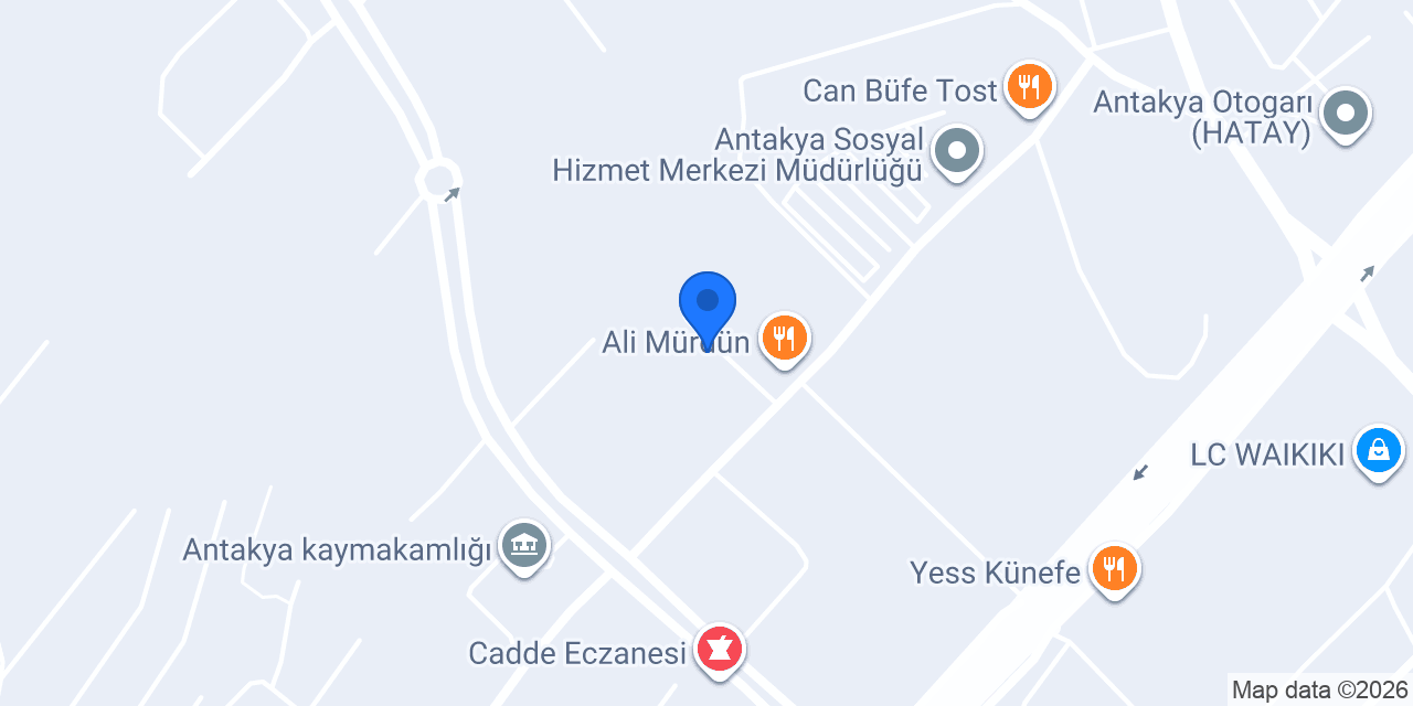 ASLAN TEŞVİK DANIŞMANLIK konumu