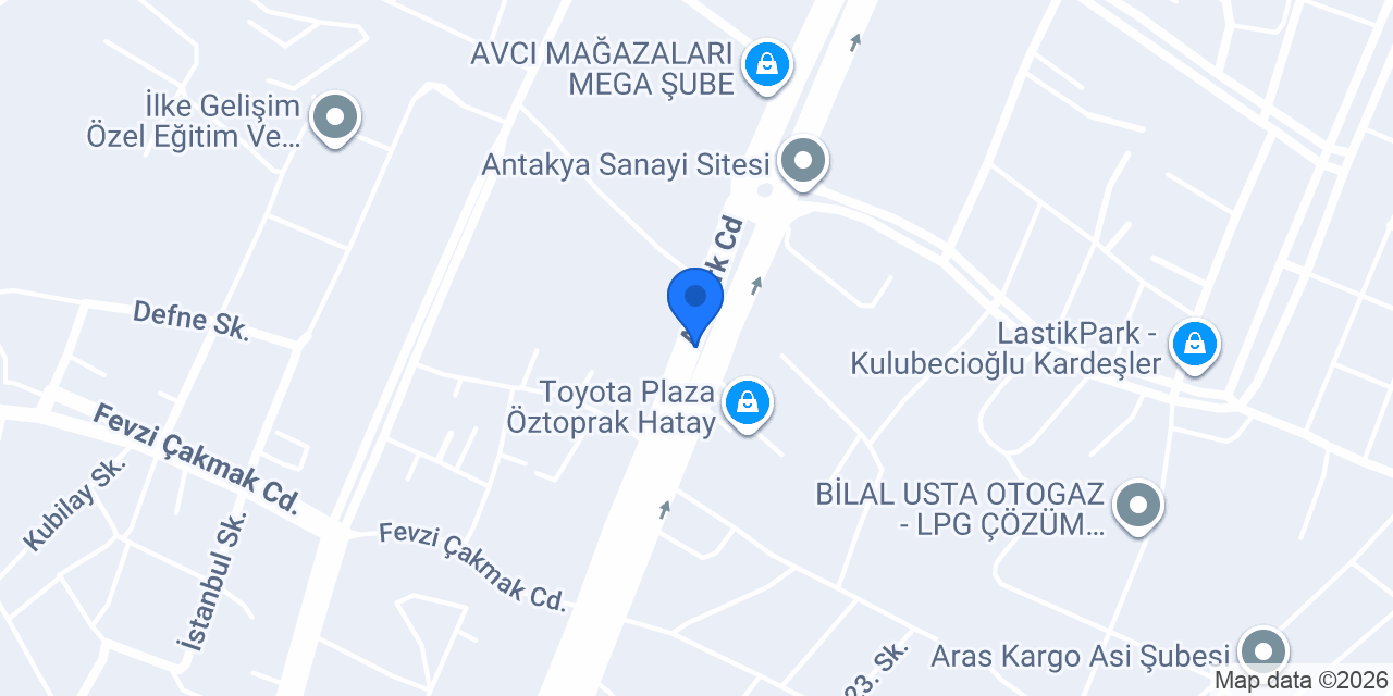ALYA SOĞUK HAVA DEPOSU A.Ş konumu