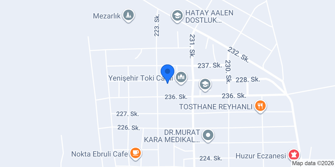 معهد يورو سكاي المهني konumu