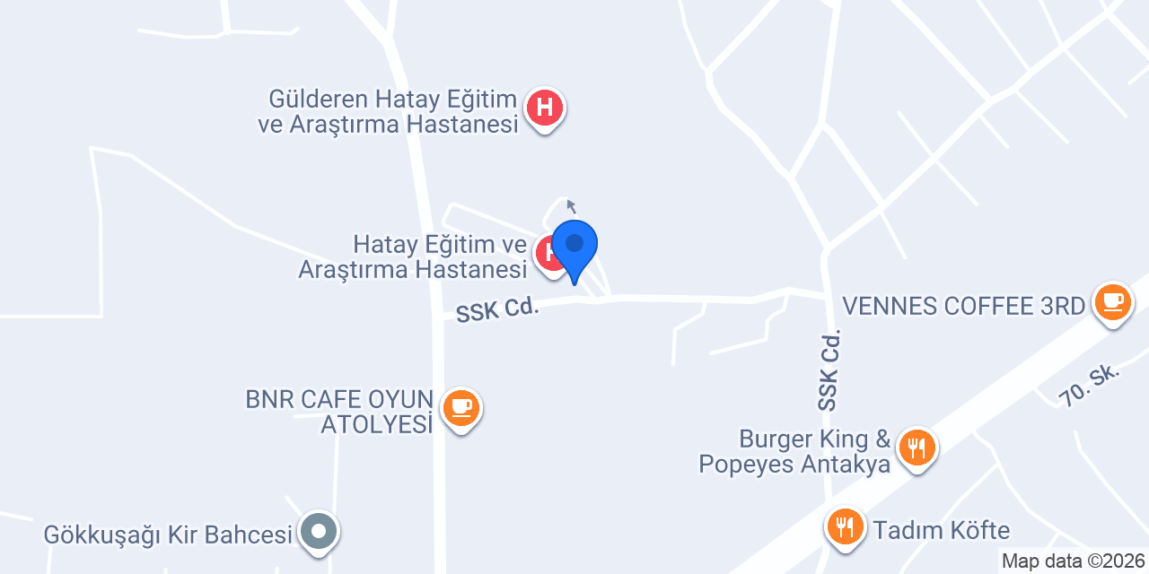 ANTAKYA TAKSİ 7/24 ARA konumu