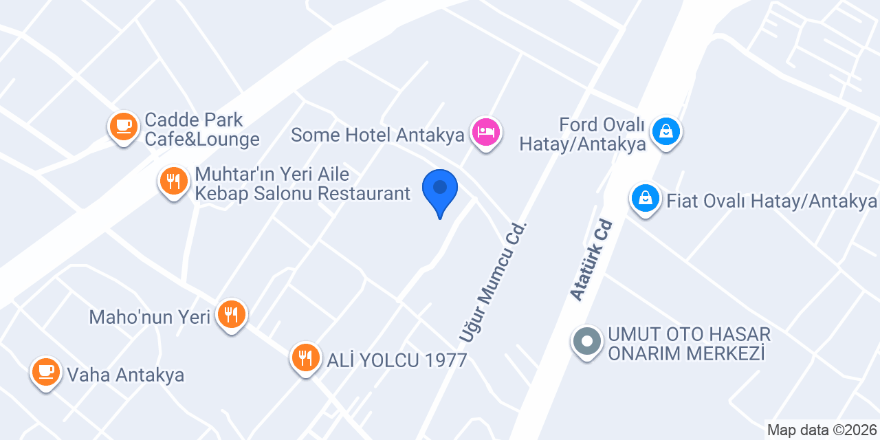 Defne süt konumu