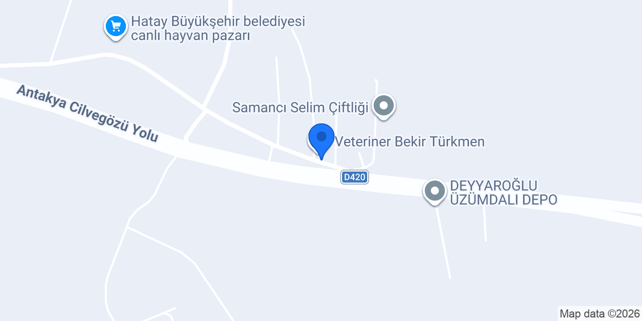 selamet hayvancılık konumu