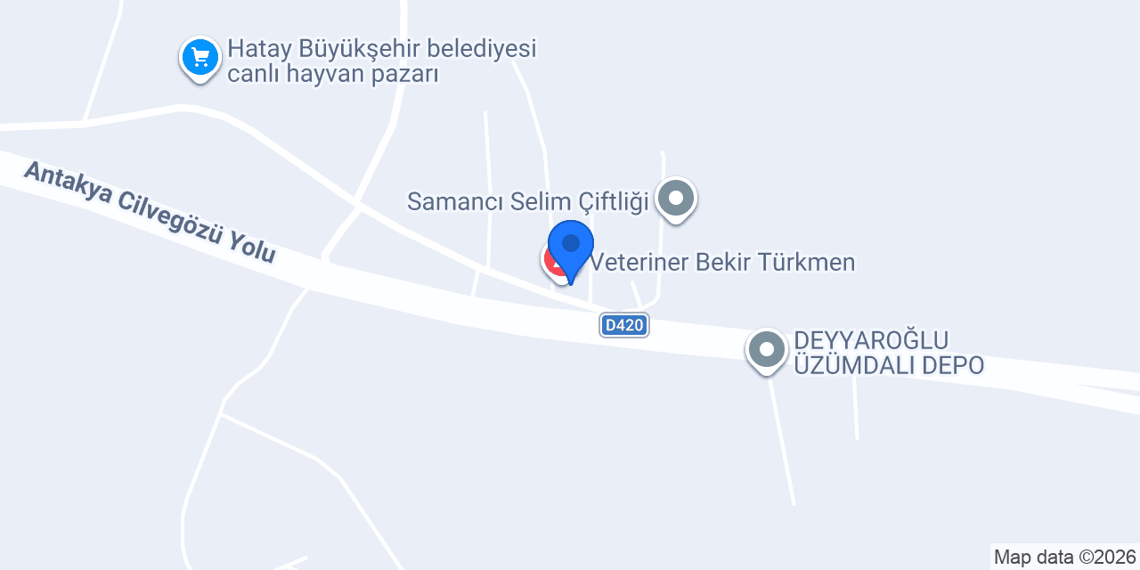 SULTANLAR NAKLİYAT TIR GARAJI konumu