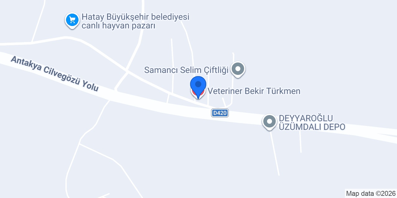 Veteriner Bekir Türkmen konumu