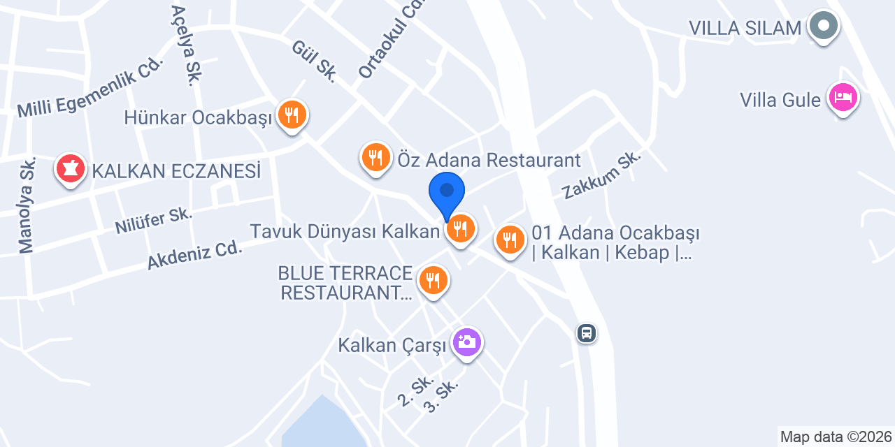 Pati Veteriner Kliniği KALKAN(2000--) konumu