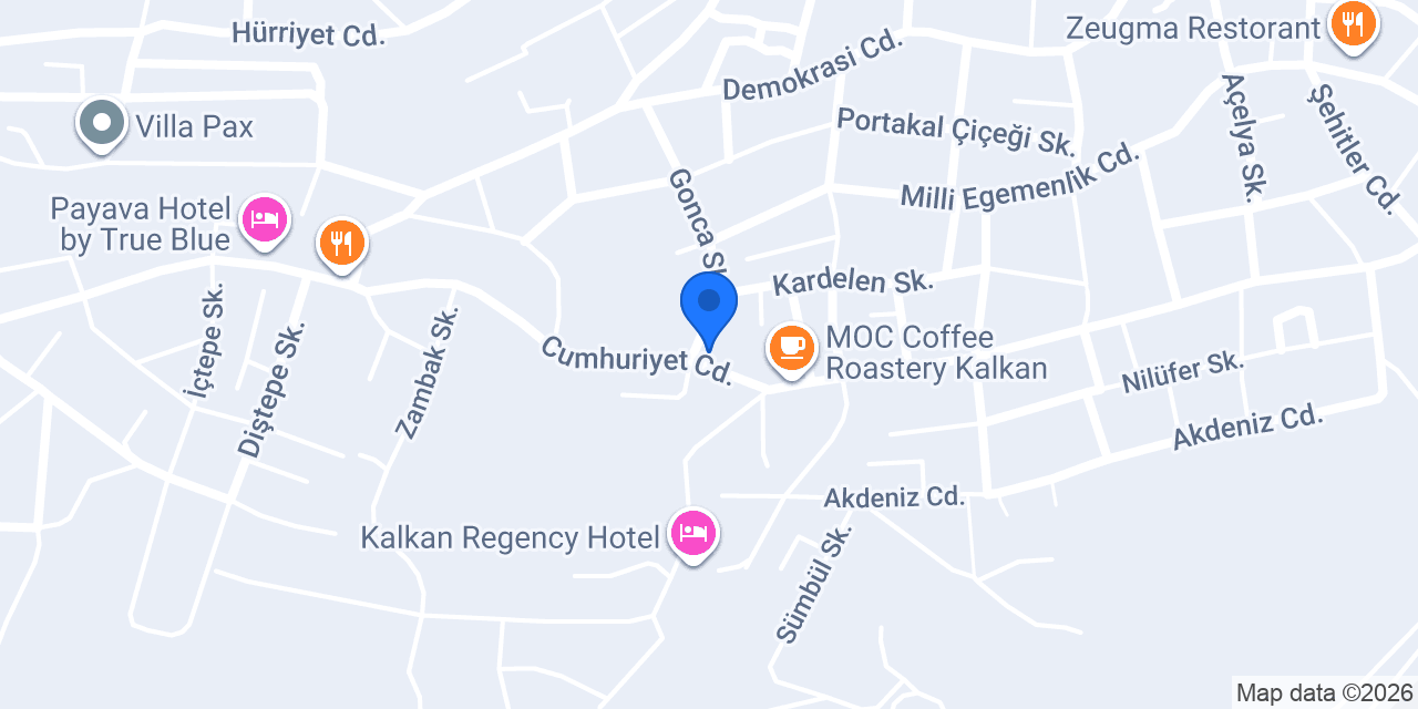 Kalkan Veteriner Kliniği konumu