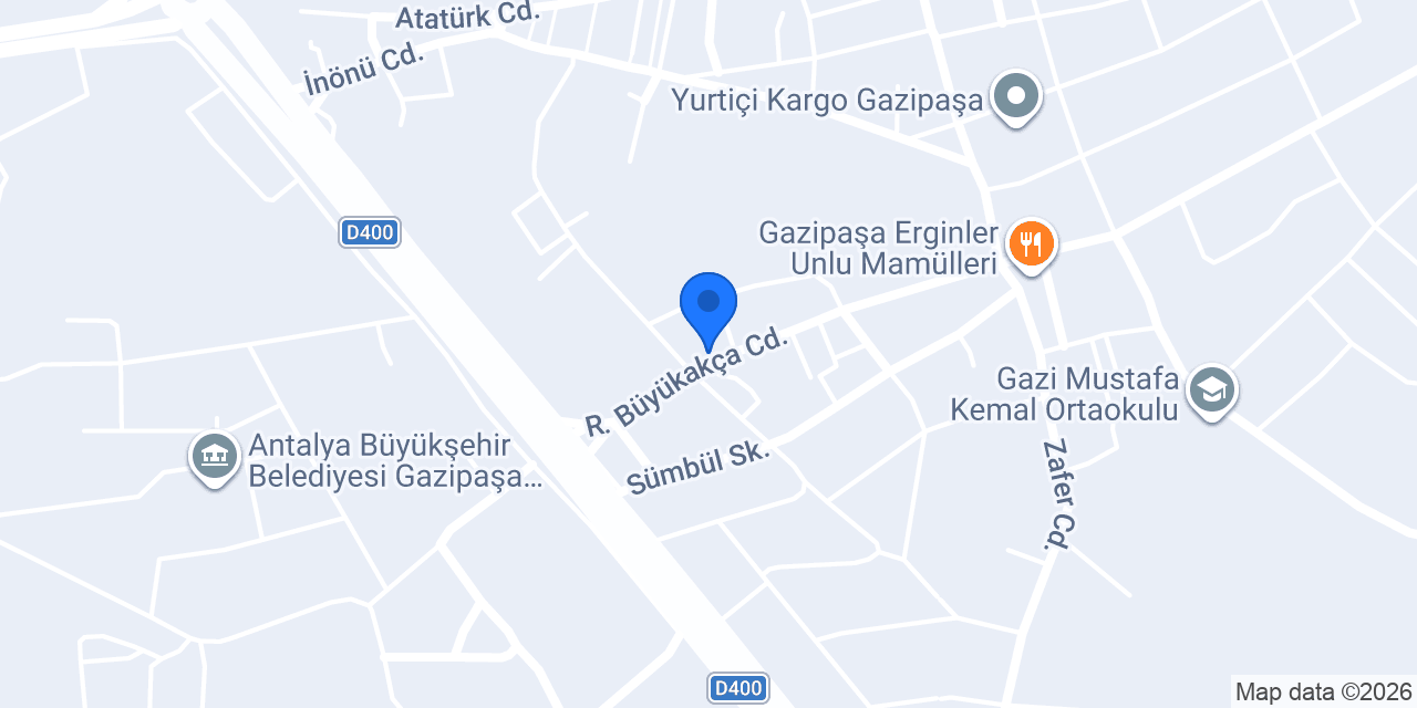 Halı dünyası konumu