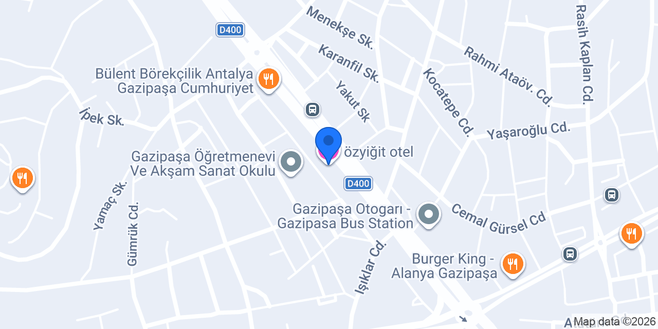 özyiğit otel konumu