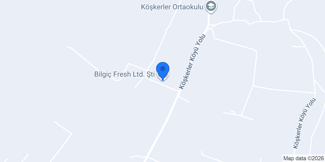 Bilgiç Fresh Ltd. Şti. konumu
