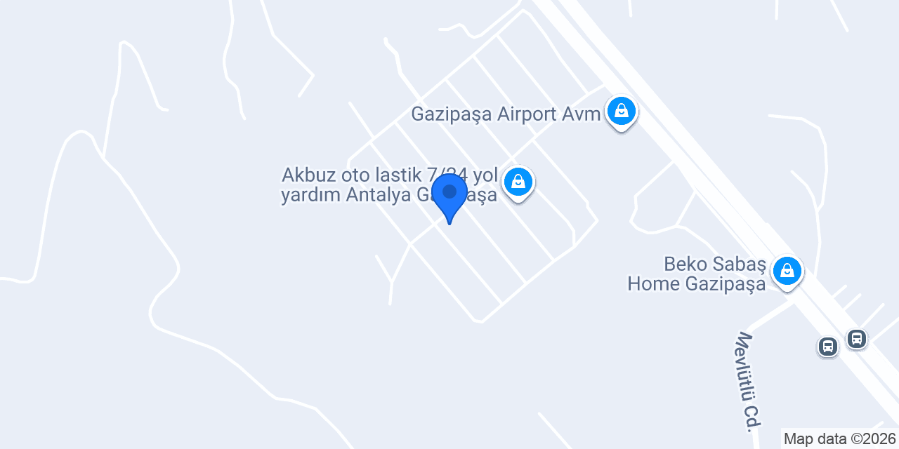 Alsun Orman Ürünleri konumu