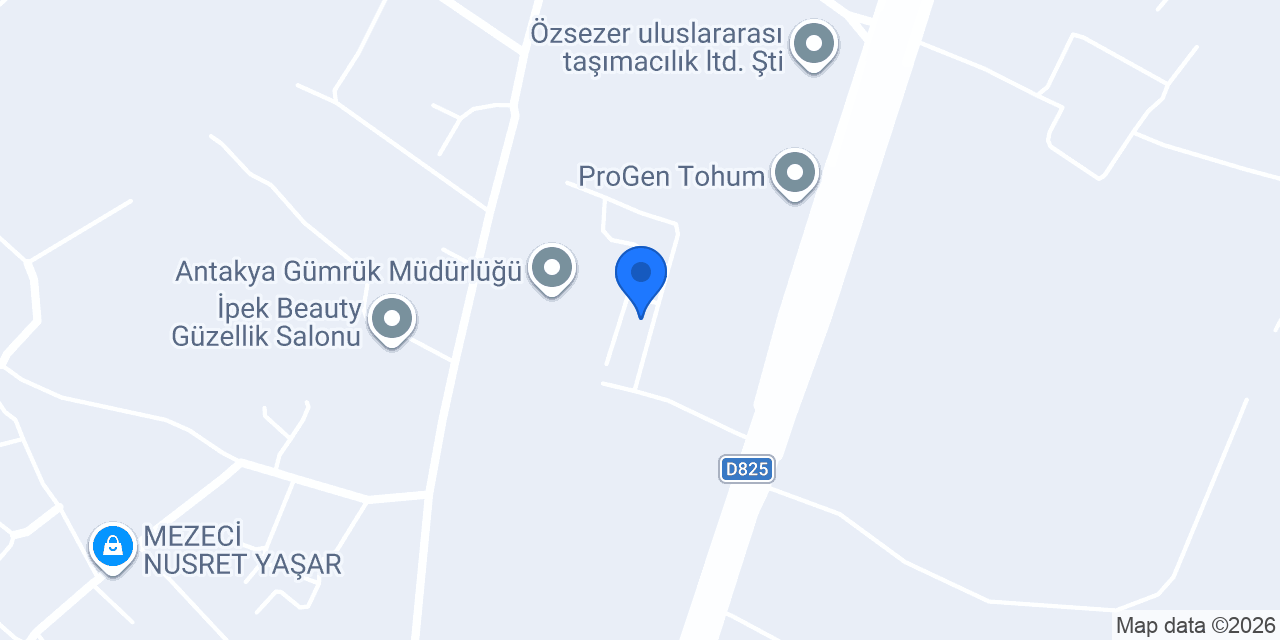 GÜLSAN ULUSLARARASI TAŞIMACILIK konumu