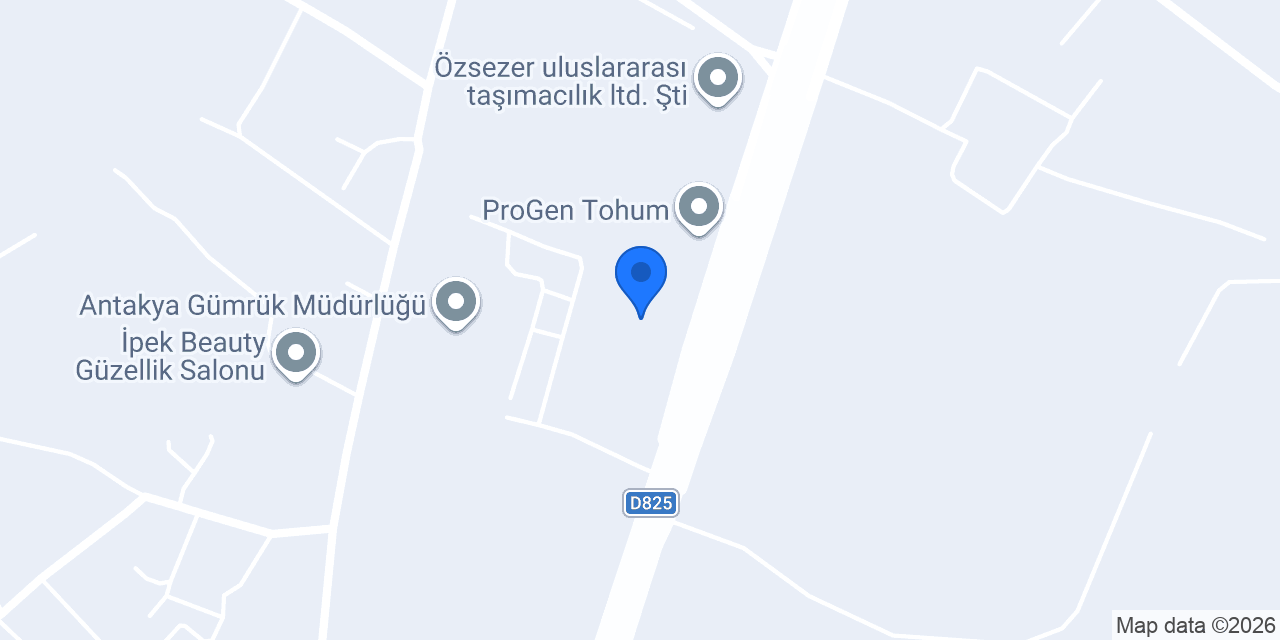 HATAY OTO LASTİK konumu