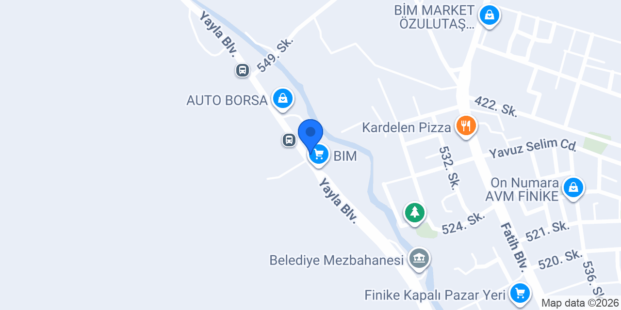 FİNİKE METRO TURİZM konumu