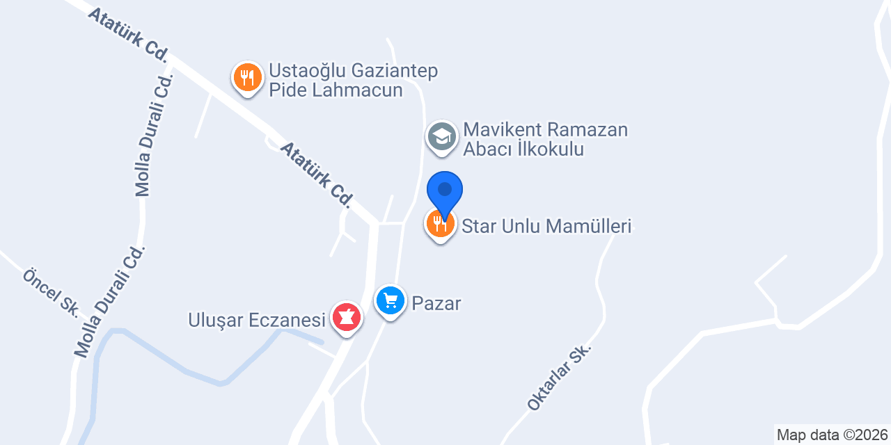 ASIM OTO LASTİK konumu