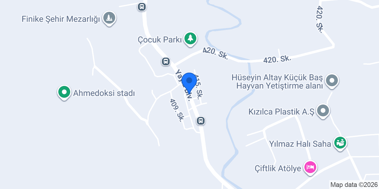 FİNİKE HALİ YIKAMA konumu