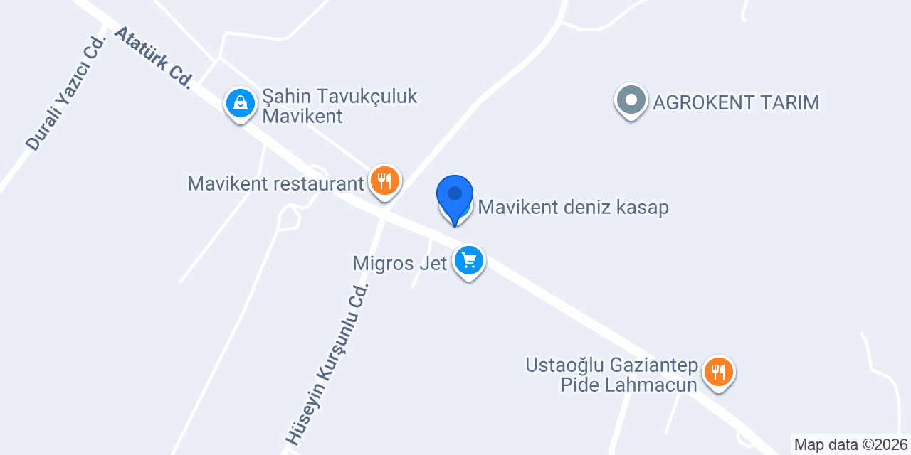 Mavikent deniz kasap konumu