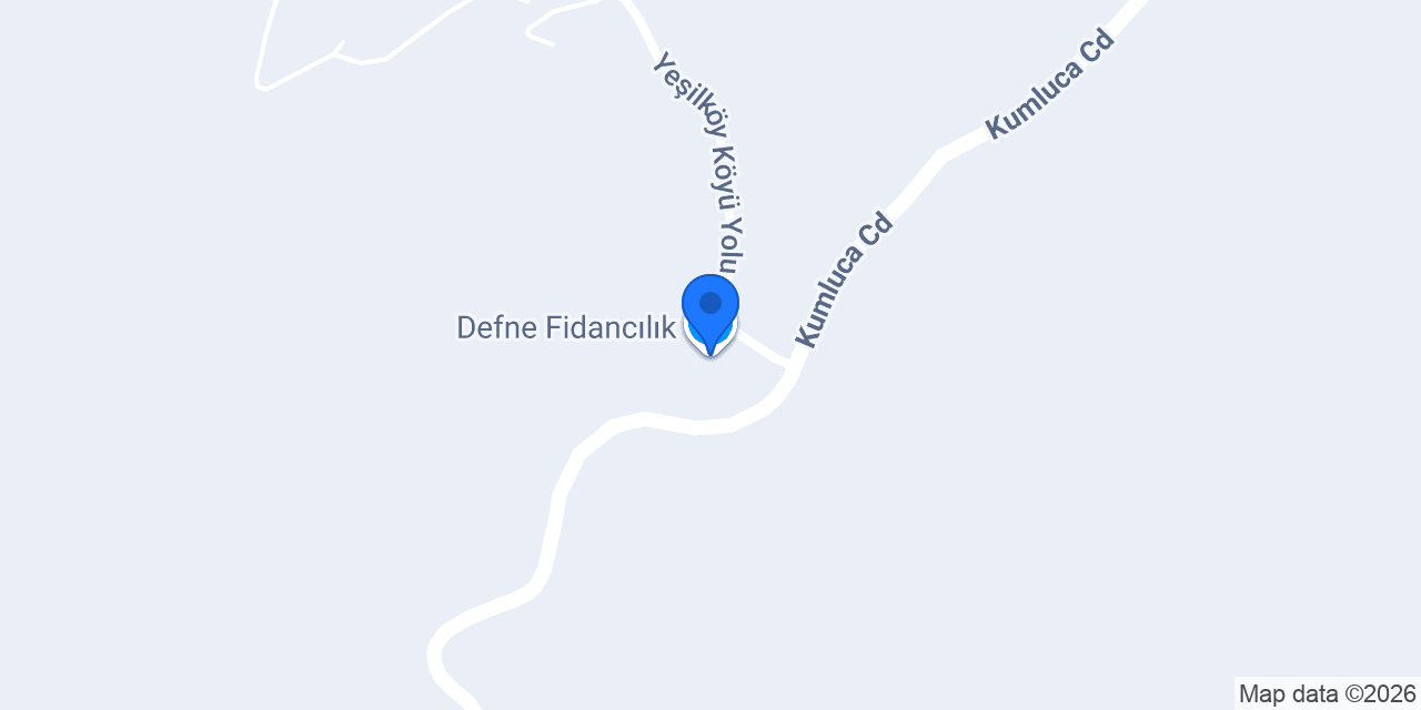 Defne Fidancılık konumu