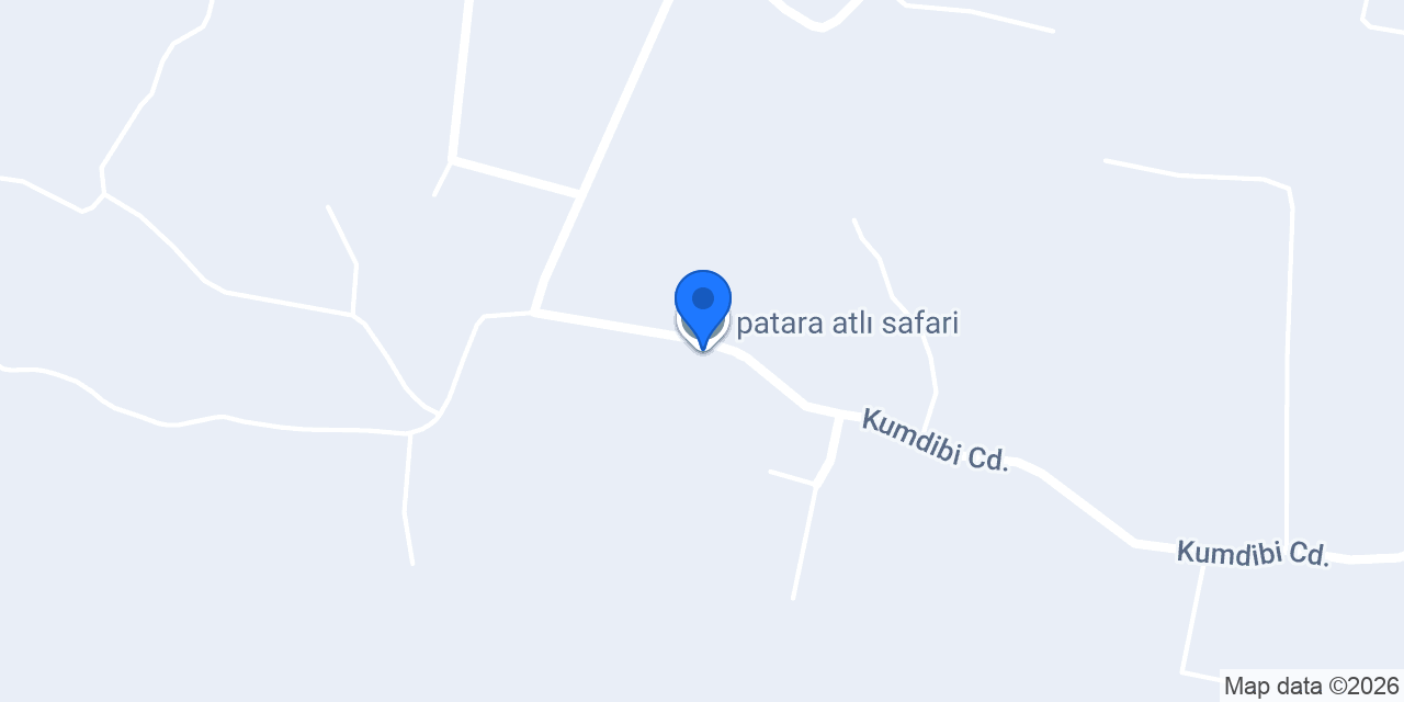 patara atlı safari konumu