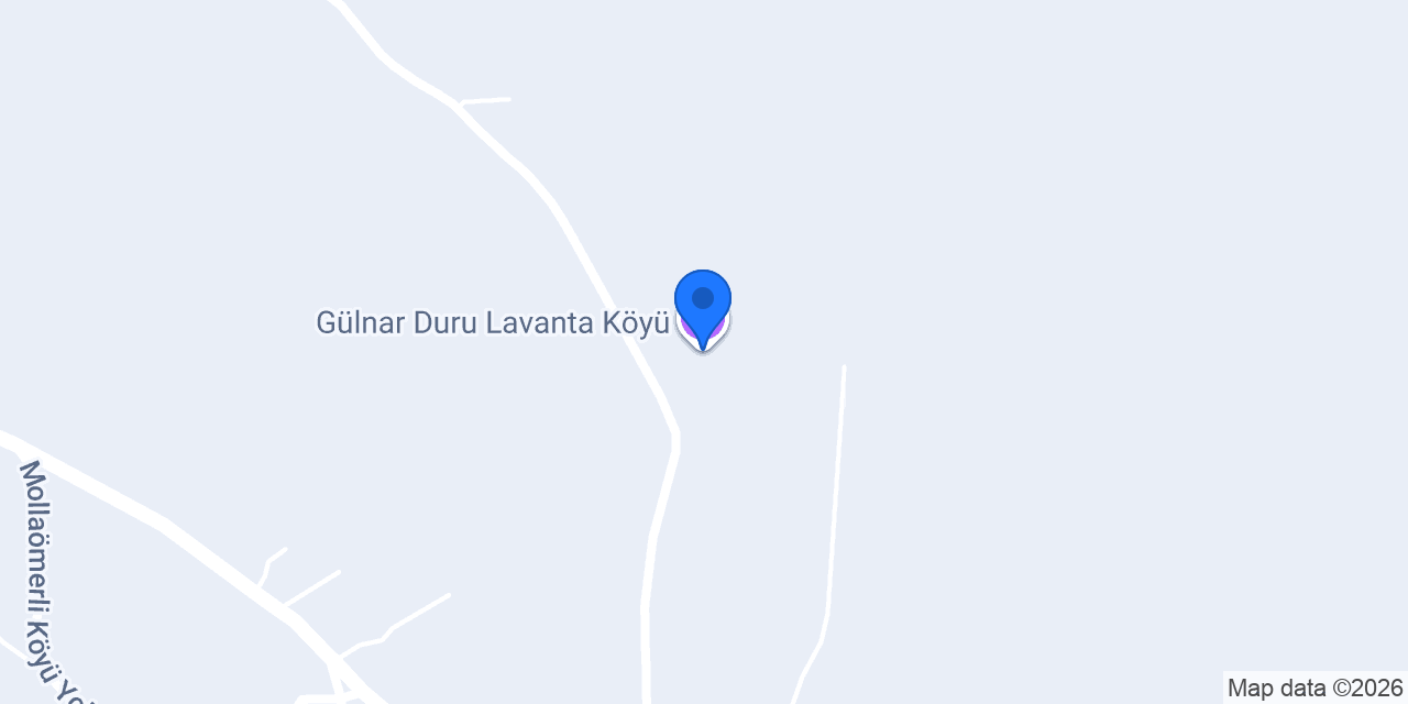 Gülnar Duru Lavanta Köyü konumu