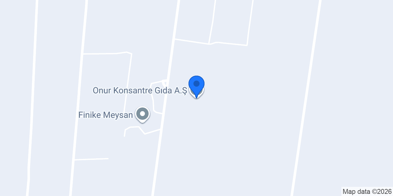 Onur Konsantre Gıda A.Ş. konumu