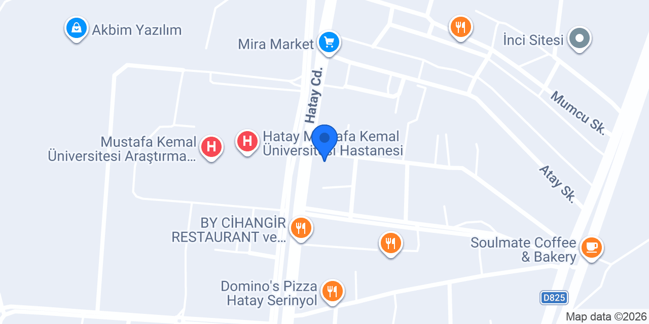 Harbiye Dürüm Ozi konumu