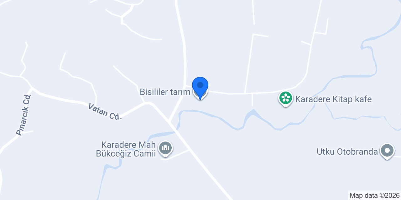 Bisililer tarım konumu
