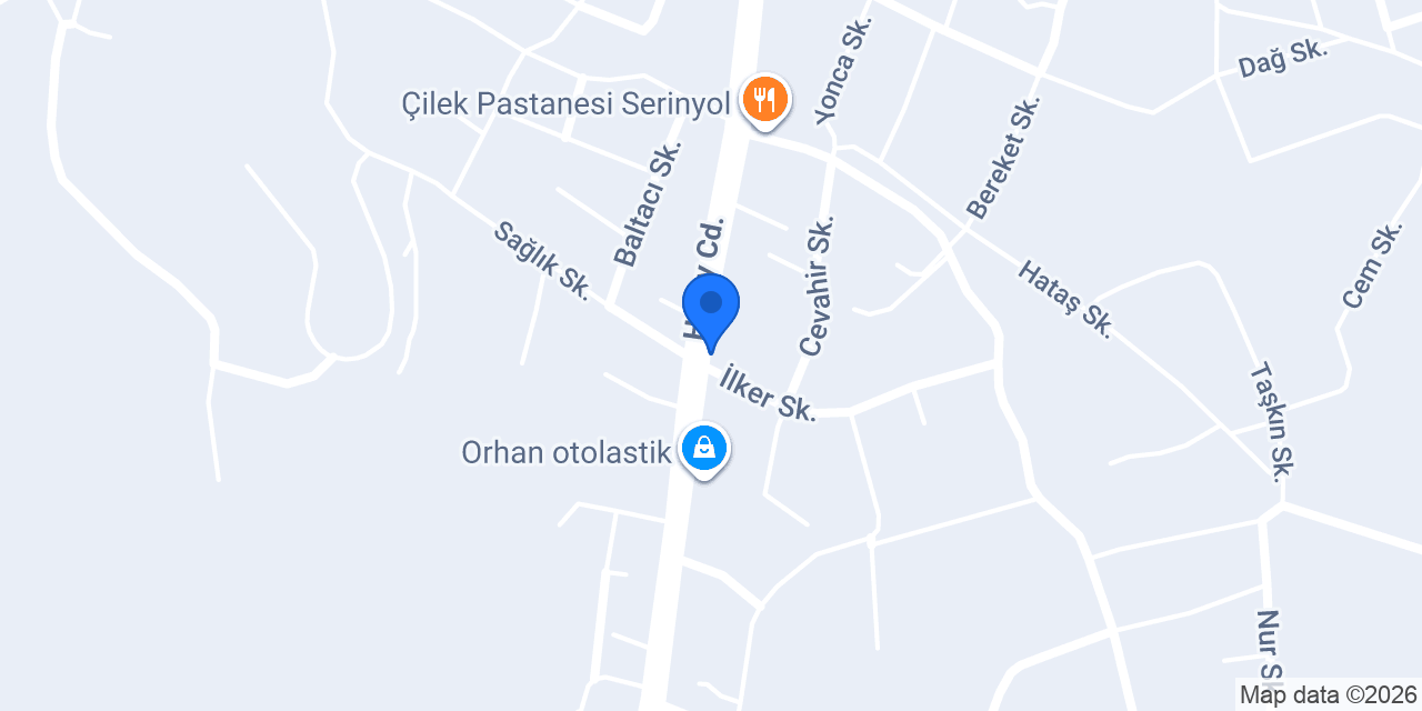 Fizyoterapist Asiye Işılay Ergün konumu