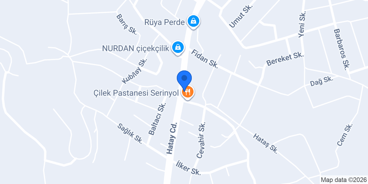 Üniversite taksi konumu