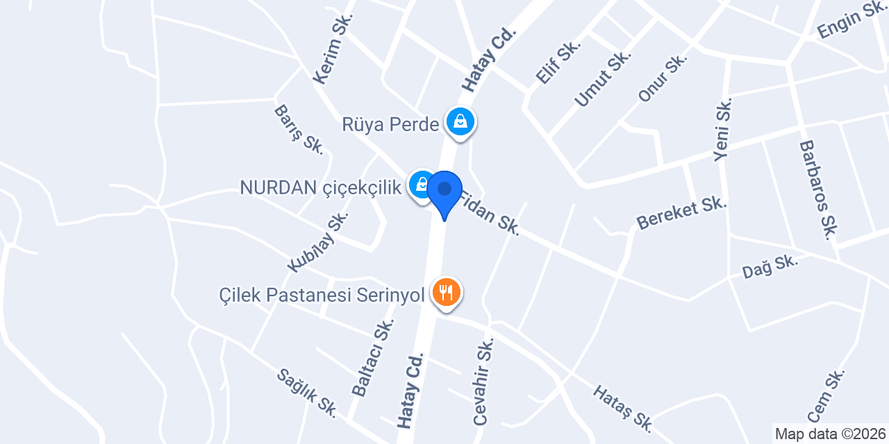 Ersin ELEKTRİK konumu