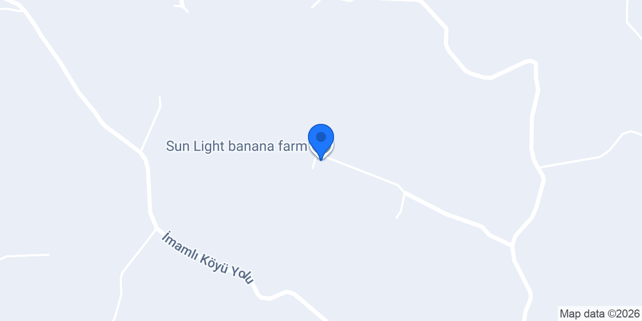 Sun Light banana farm konumu