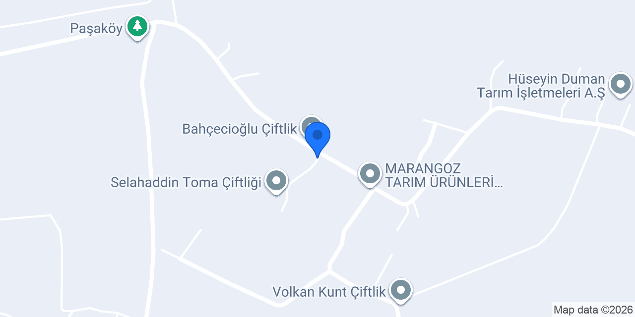 AMİCHİA konumu