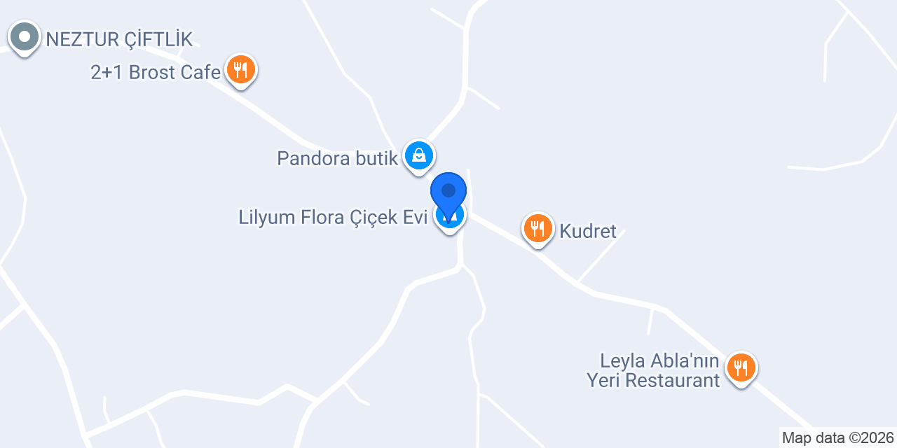 Lilyum Flora Çiçek Evi konumu
