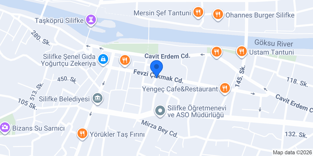 Psikolojik Danışman/Pedagog Bilge İrem Çınar konumu