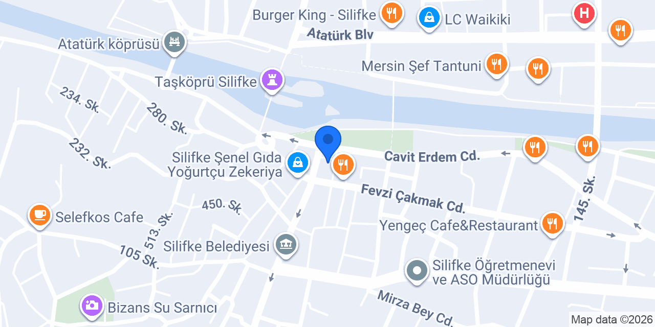 Nevizade Silifke konumu