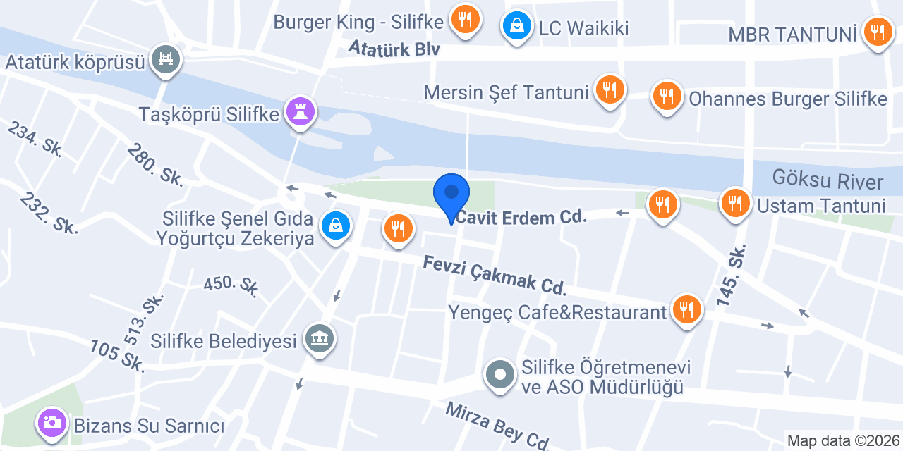 Dizayn Elektronik konumu
